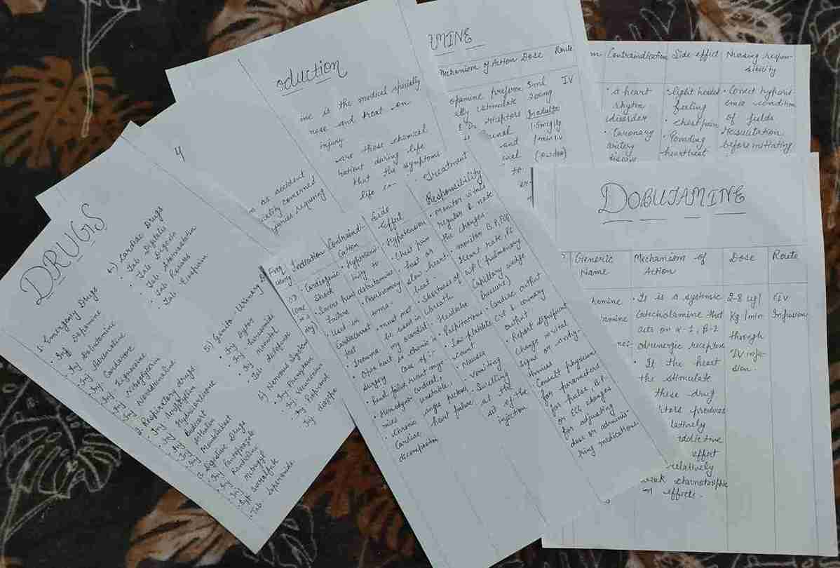 Verma Study Platform